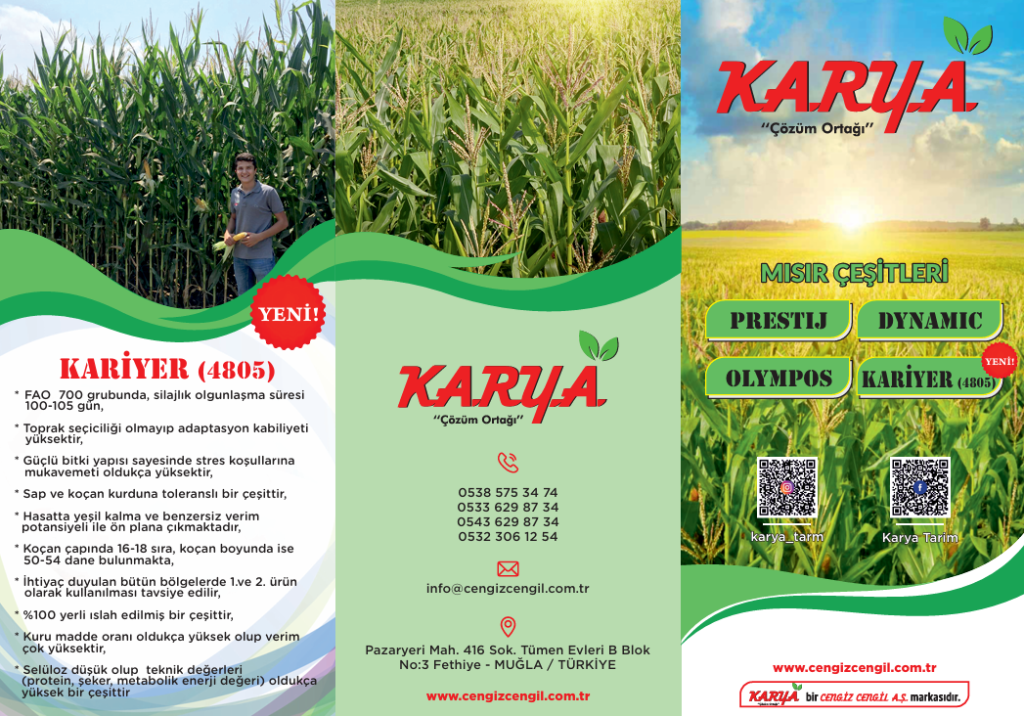 ekran görüntüsü 2025 08 31 175145