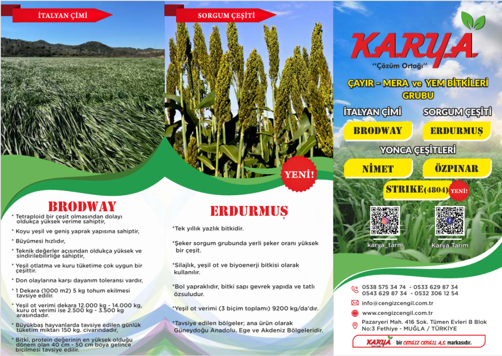 ekran görüntüsü 2025 08 31 175959