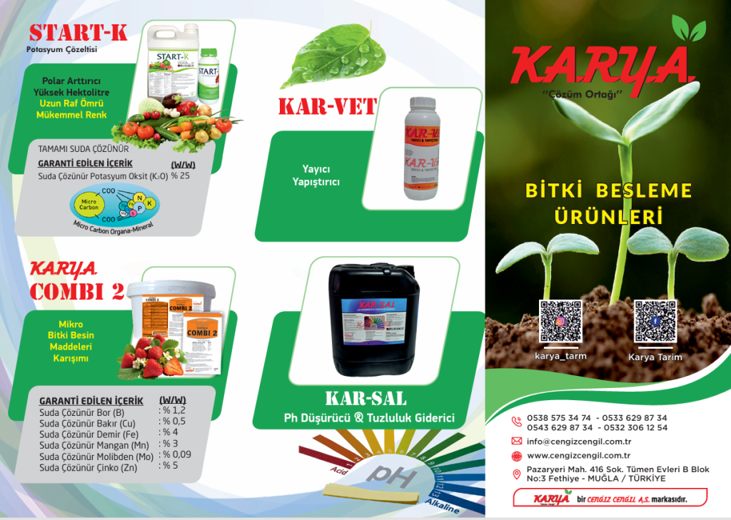 ekran görüntüsü 2025 08 31 180422